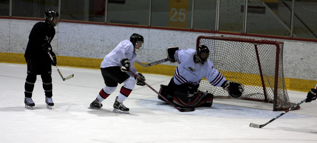 dgt_hockey (4)
